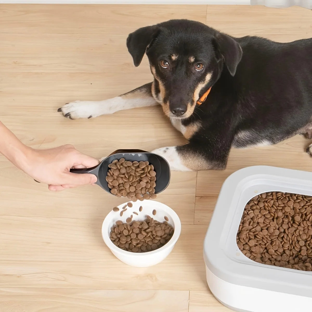 Pet Feeding Shovel Large Capacity Plastic Cat & Dog Food Scoop – Multifunctional Deep Pet Food Spoon