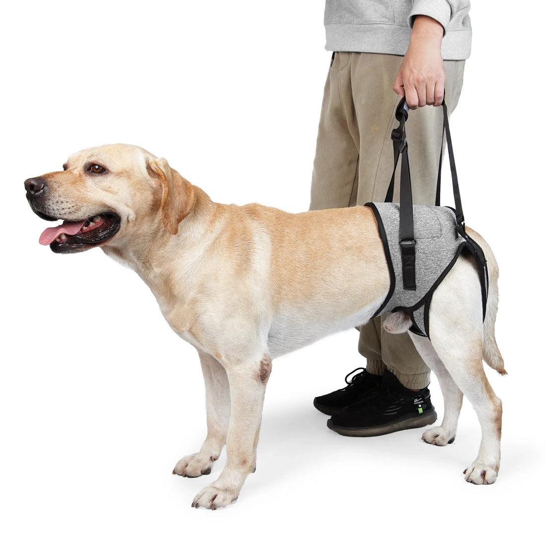 Adjustable Dog Lift Harness for Large Dogs