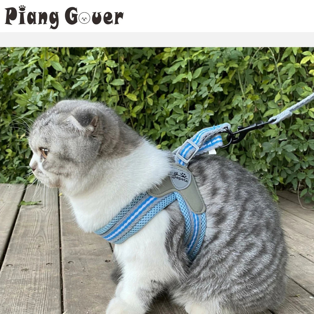 🐾 Vest Style Dog Harness & Leash Set – Adjustable Chest Strap for Small & Medium Dogs