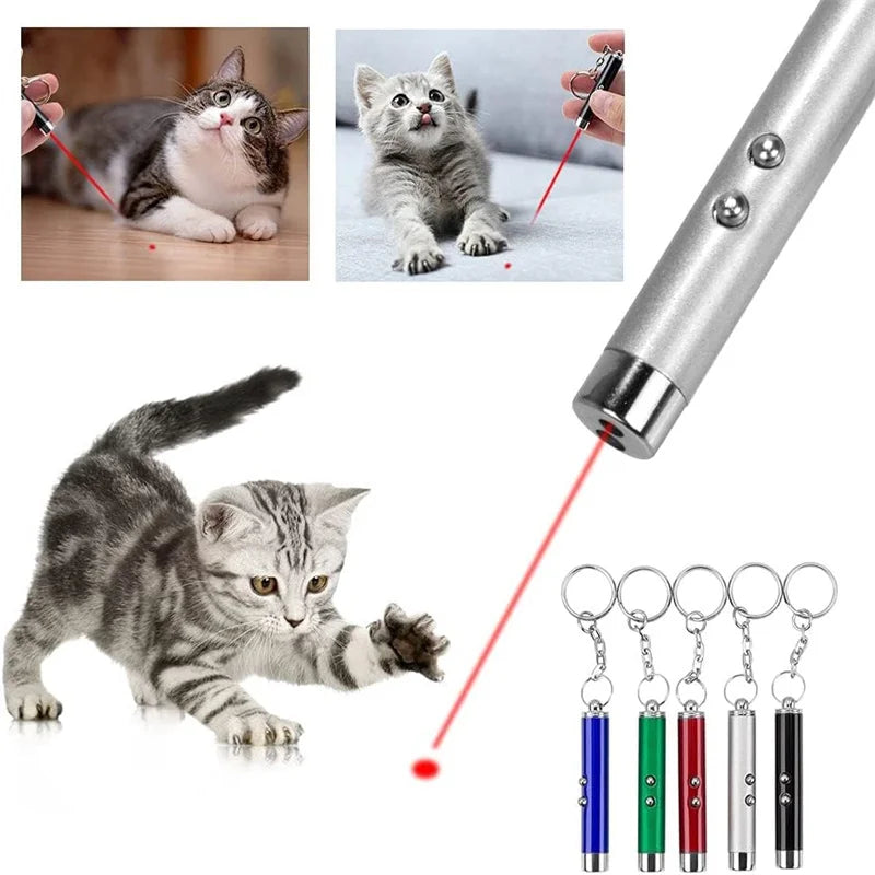 2-in-1 Mini Red Light Laser Pointer LED Torch – Cat & Dog Training Interactive Pet Toy Pen