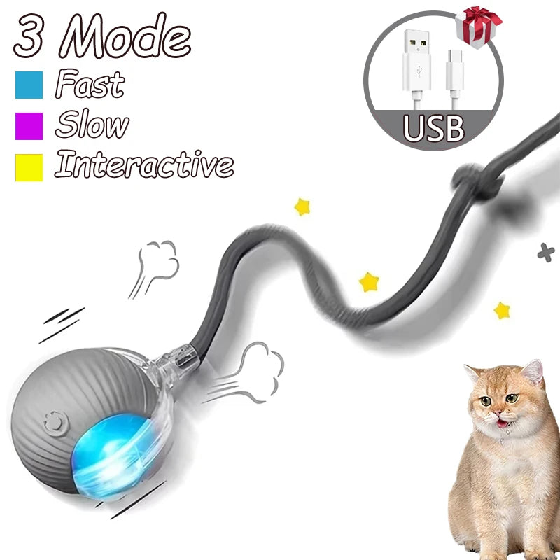 Infrared Interactive Cat Ball Toy – Rechargeable Rolling Tail Toy Imitating Mouse