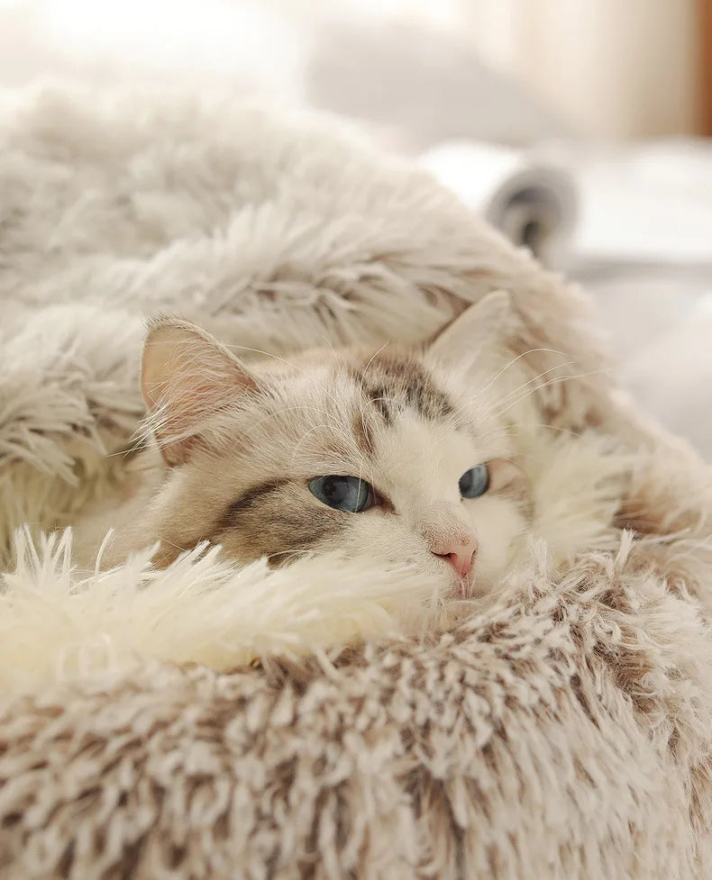 Autumn & Winter Plush Pet Bed – Semi-Enclosed Shell Cat Nest for Cozy Warmth