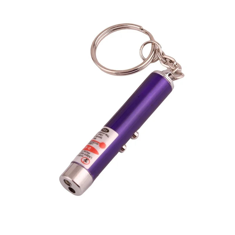 2-in-1 Mini Red Light Laser Pointer LED Torch – Cat & Dog Training Interactive Pet Toy Pen