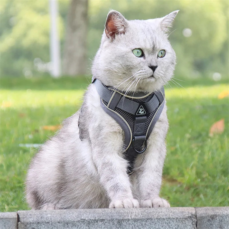 🐾 Fashion Reflective Cat Harness & Leash Set – Breathable Mesh for Cats & Small Dogs