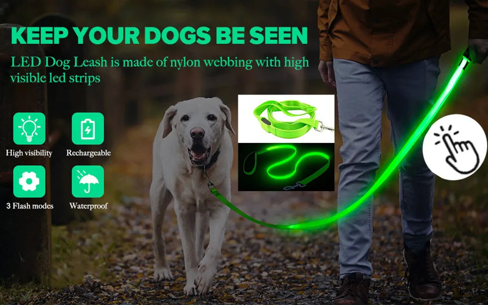 USB Rechargeable LED Glowing Pet Collar – Adjustable Night Light Safety Collar for Dogs & Cats