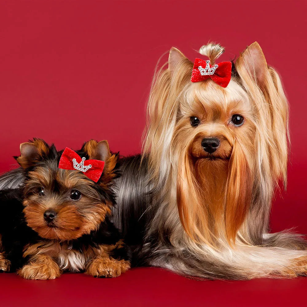 Dog Hair Clips 👑 Crystal Crown & Bow Set – 10PCS Pet Grooming Accesso