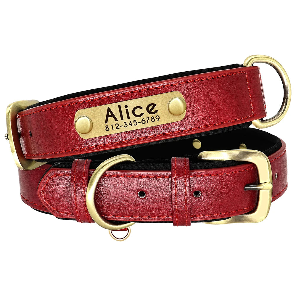 Custom Leather Dog Collar & Leash Set – Soft Padded with Engraved Nameplate