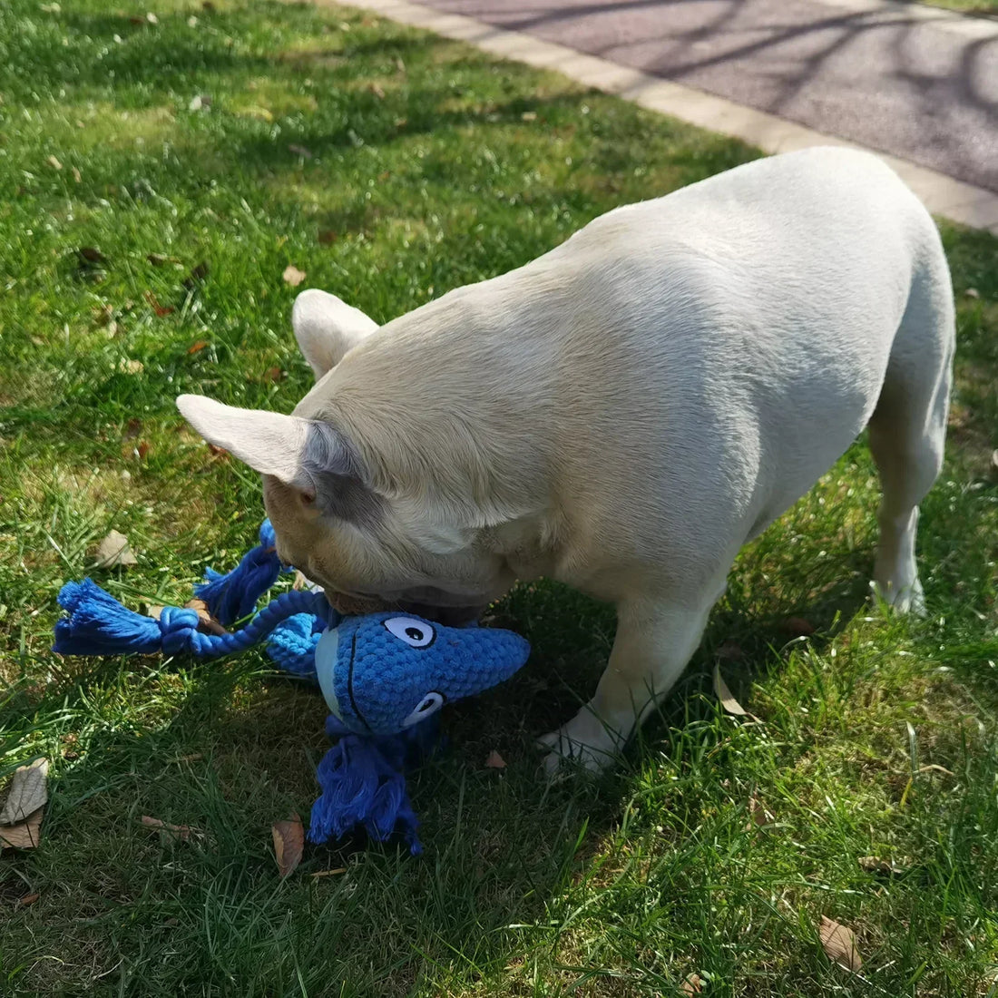 Chameleon Plush Dog Toy – Squeaky, Bite-Resistant Chew 🦎🐾