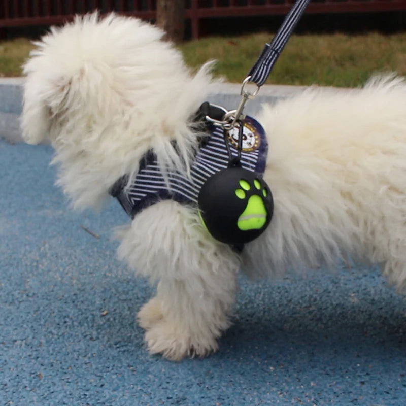Tennis Ball Holder with Hook – Hands-Free Dog Leash Attachment 🎾🐾