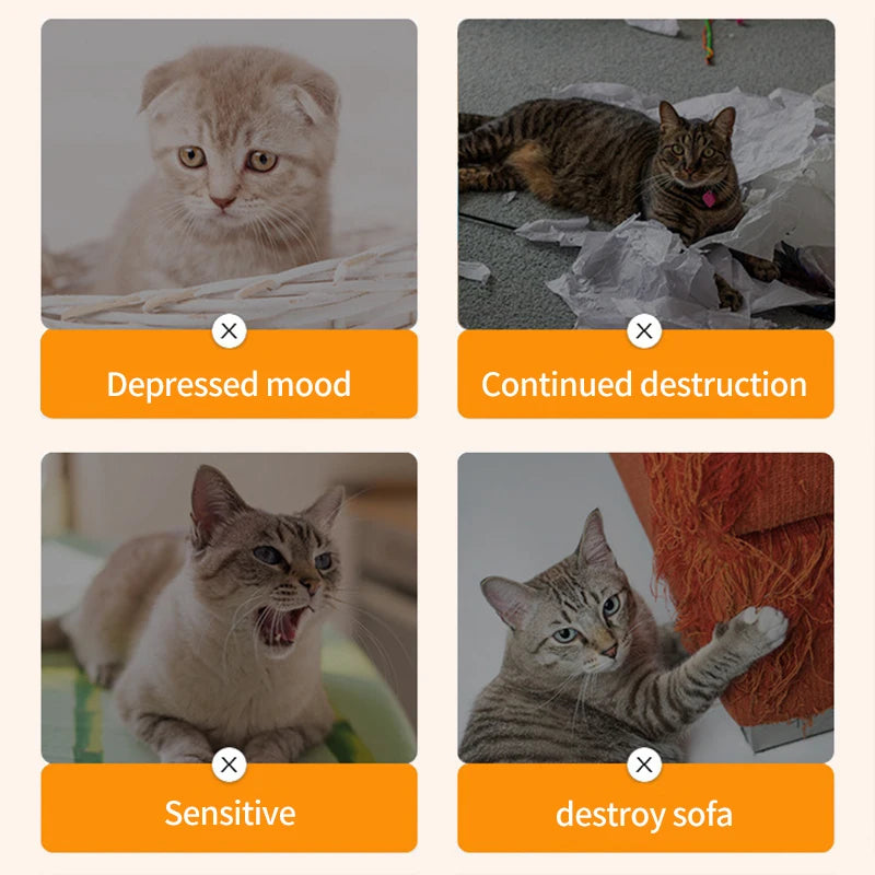 Plush Catnip Chew Toy – Soft Cat Pillow Teaser for Interactive Play