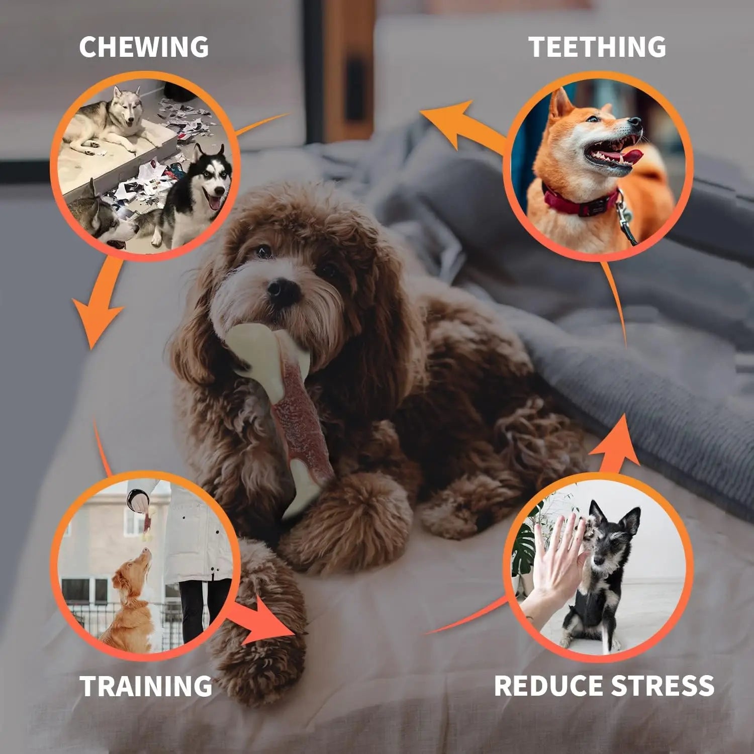 For Paws™ Nearly Indestructible Dog Bone – Beef-Flavored Nylon Chew Toy for Aggressive Chewers