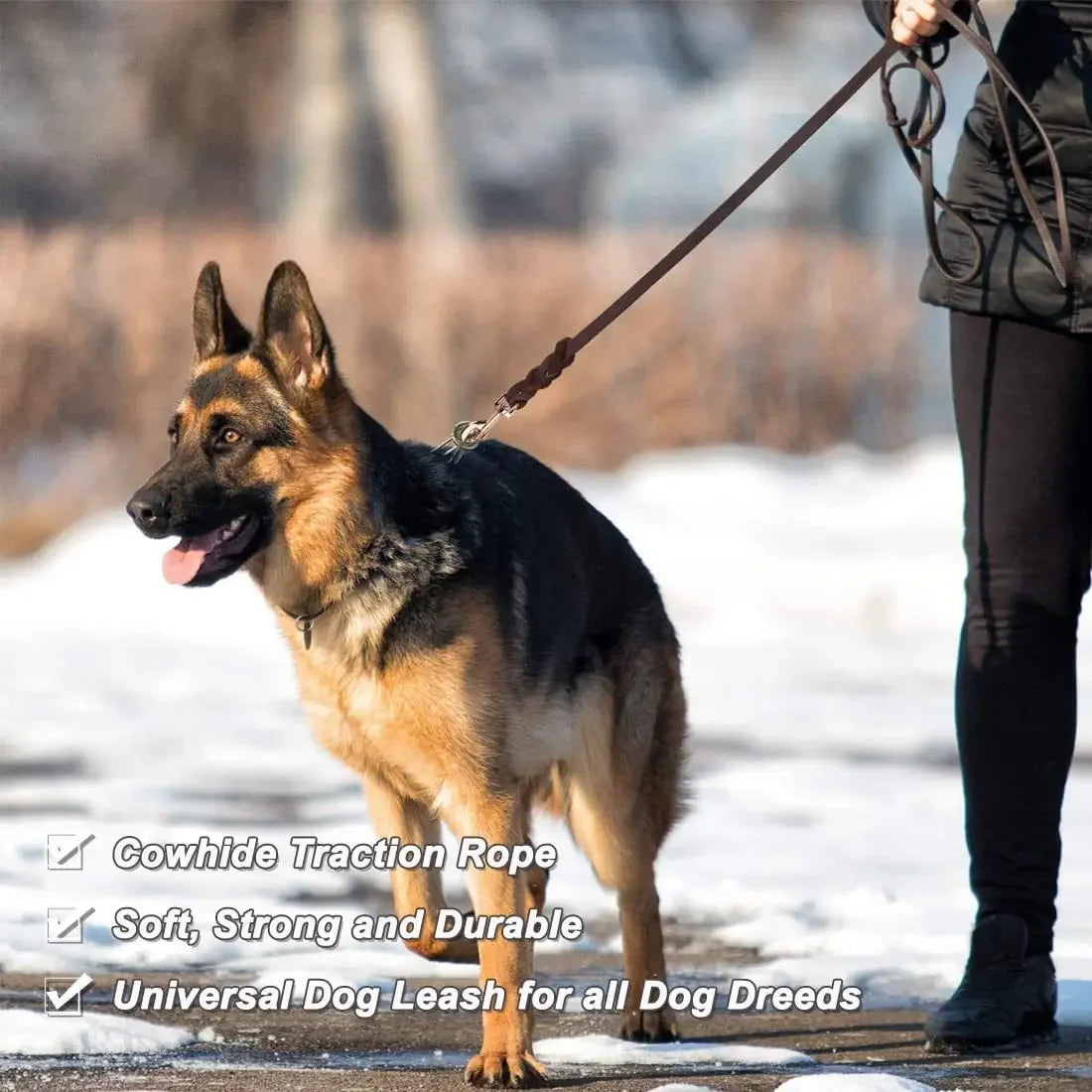 Genuine Leather Dog Leash – Braided Long Training Lead for Medium & Large Dogs