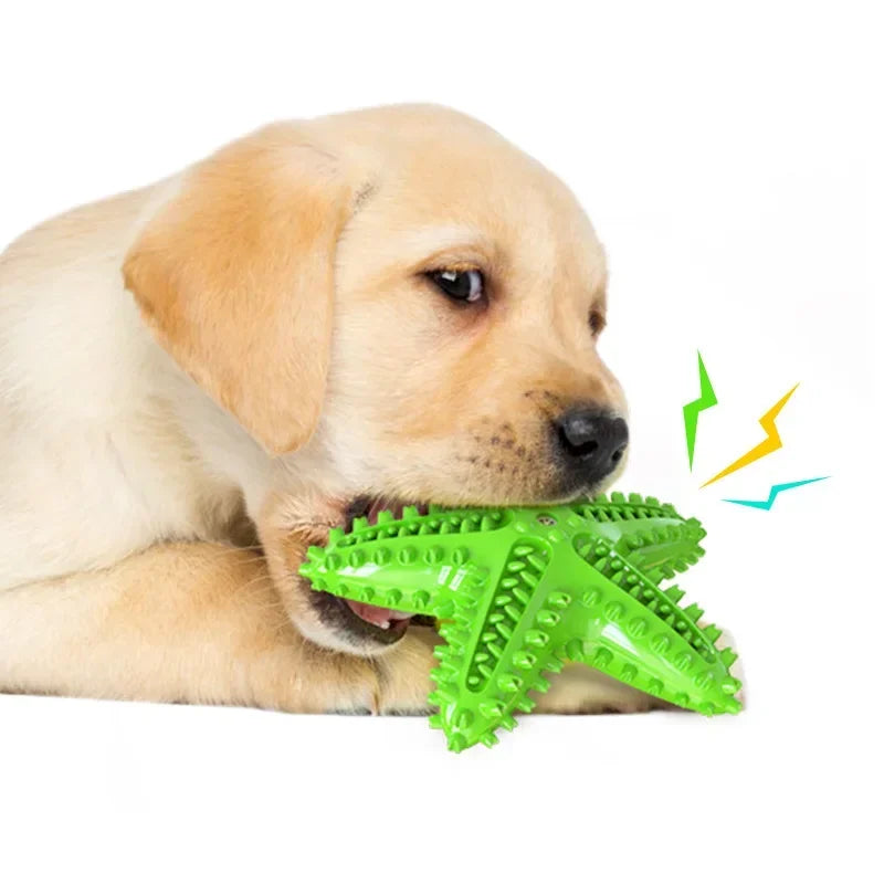 Soundmaking Starfish Dog Toy – Durable, Bite-Resistant, Teeth Cleaning & Treat Dispensing Toy