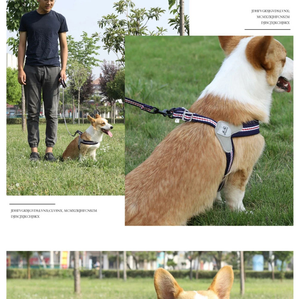 🐾 Vest Style Dog Harness & Leash Set – Adjustable Chest Strap for Small & Medium Dogs