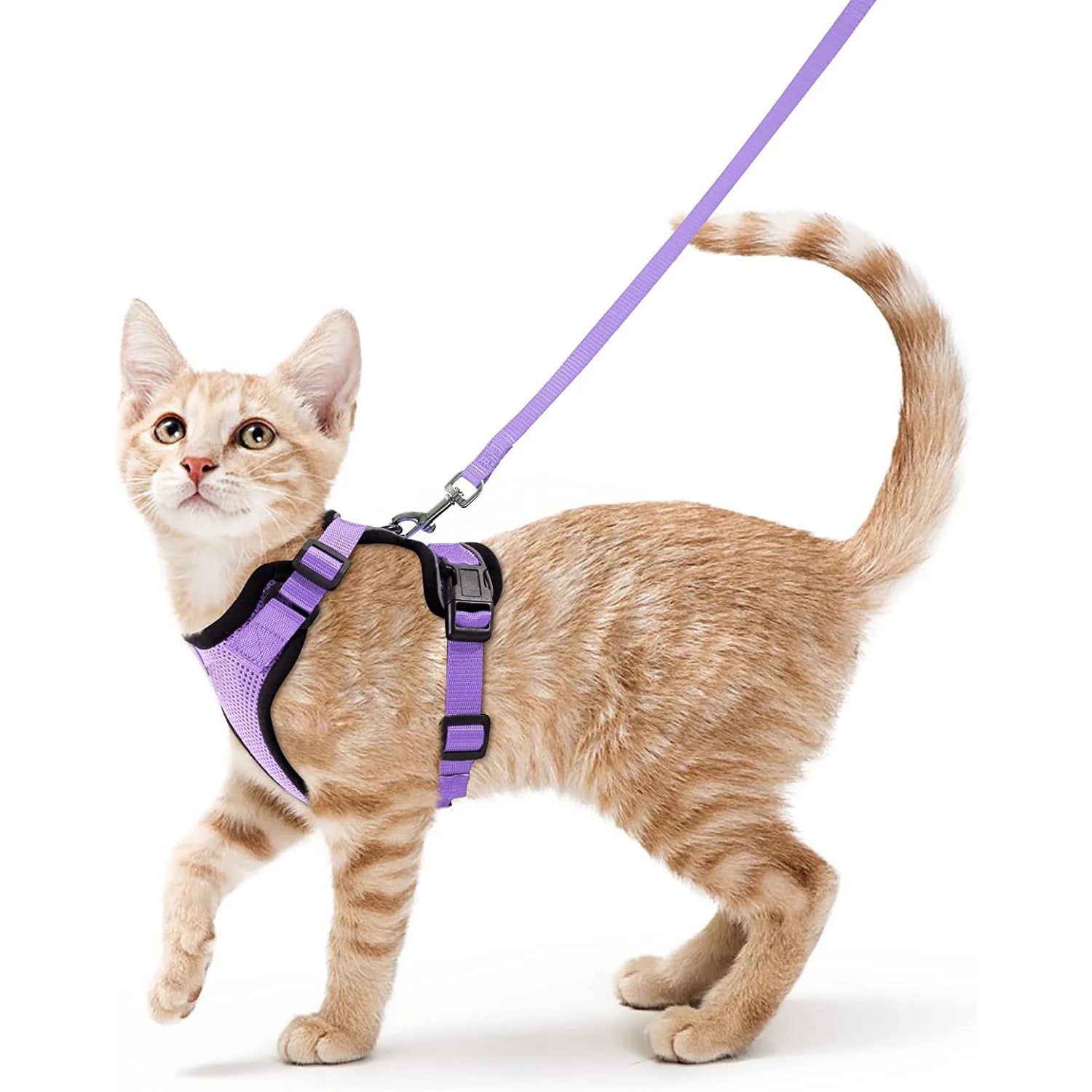 Cat Harness and Leash – Escape-Proof Soft Adjustable Vest with Easy Control