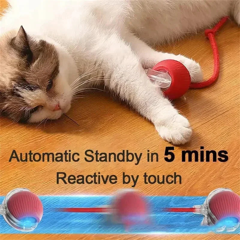Smart Rolling Ball Toy – Rechargeable Interactive Toy for Cats & Dogs