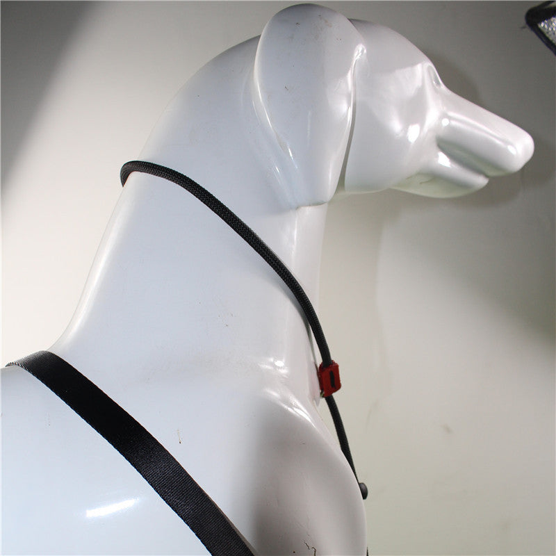 🐕 Heavy-Duty Dog Training P Rope – Adjustable Control Collar for Medium & Large Dogs