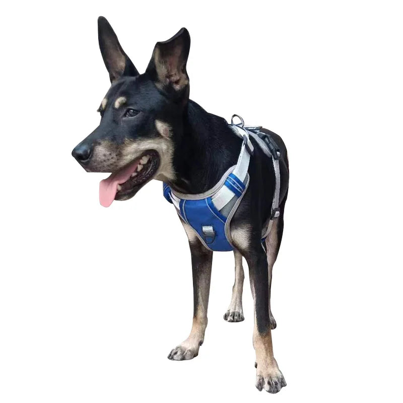 🐾 Personalized Nylon Adjustable Dog Harness – Reflective, Breathable Vest with Leash for Small, Medium & Large Dogs