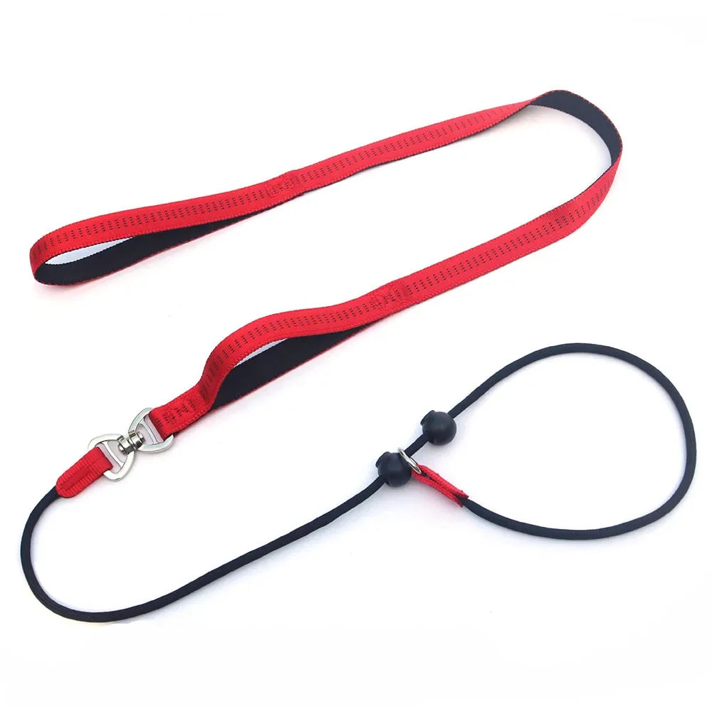 Dog Slip Lead Leash with Double Padded Handle – No Pull Training Lead with Choker Collar & Anti-Tangle Design
