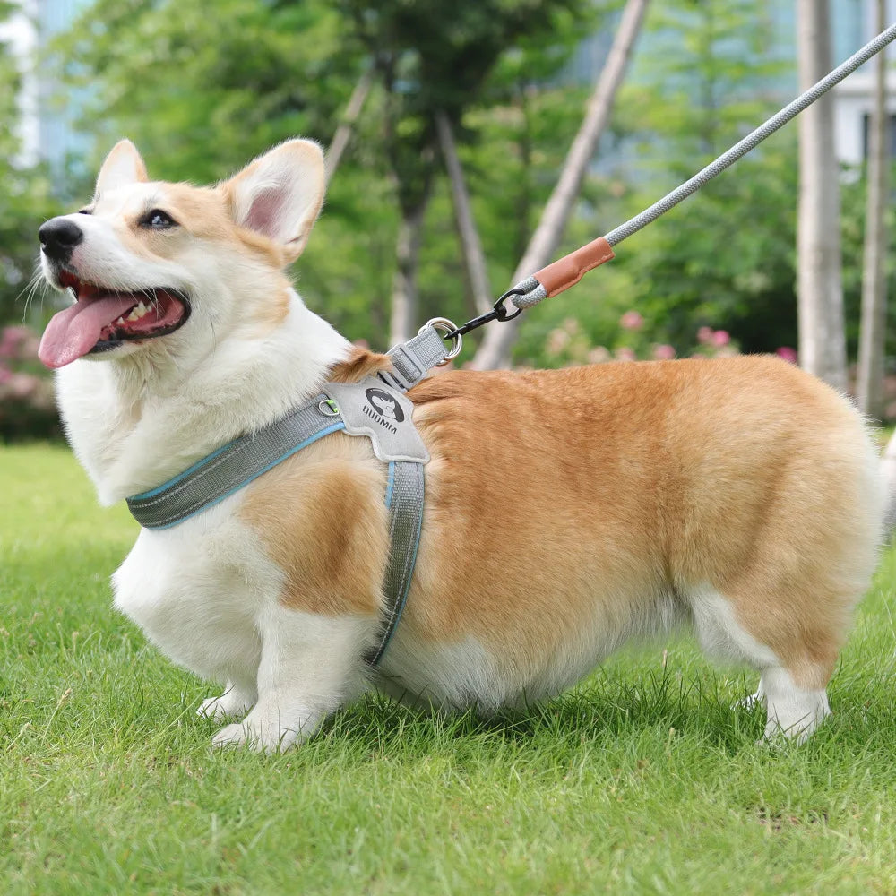 🐶 Adjustable Reflective Mesh Dog Harness – Pet Vest for Small & Large Dogs and Cats