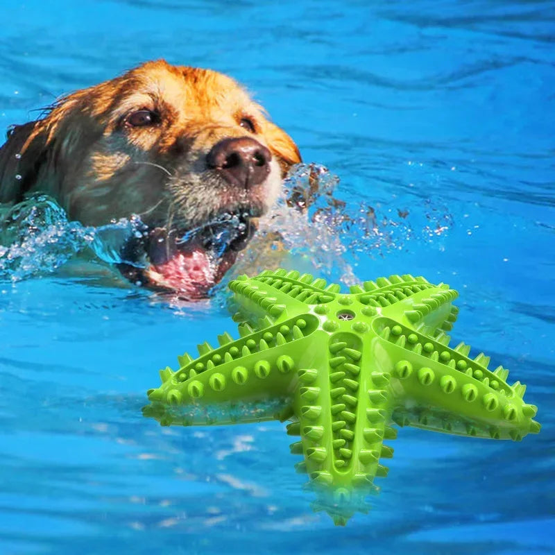 Soundmaking Starfish Dog Toy – Durable, Bite-Resistant, Teeth Cleaning & Treat Dispensing Toy