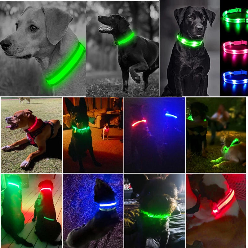 USB Rechargeable LED Glowing Pet Collar – Adjustable Night Light Safety Collar for Dogs & Cats