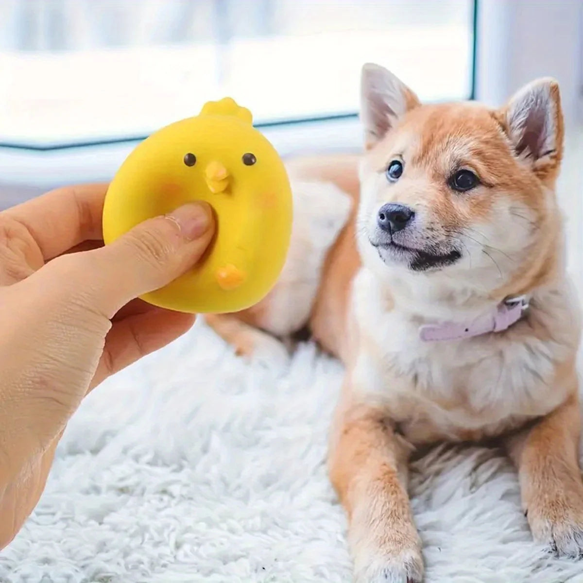 Squeaky Dog Toy – Durable Latex Chicken Ball for Chewing & Interactive Play