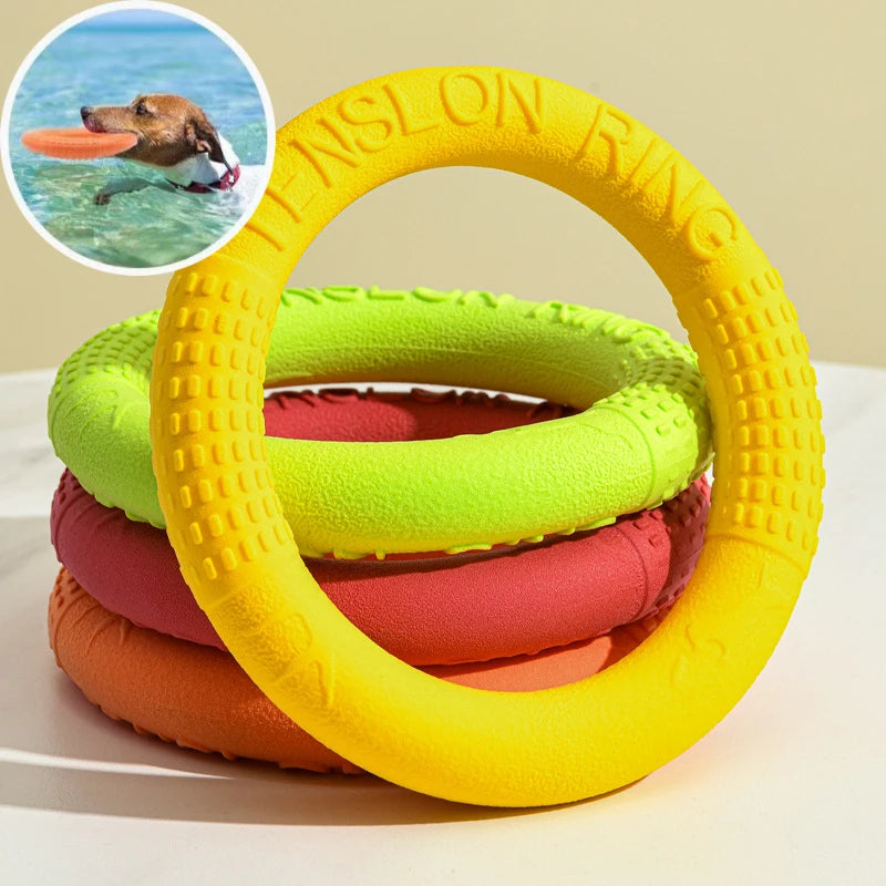 TPR Flying Disk Dog Toy – Anti-Bite Training Ring & Floating Puller 🥏🐶