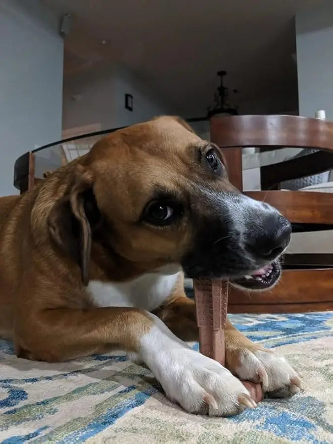 Durable Dog Chew Toys – Oral Care Teething Toy for Puppies & Mild Chewers, Teeth Cleaning Dental Toy