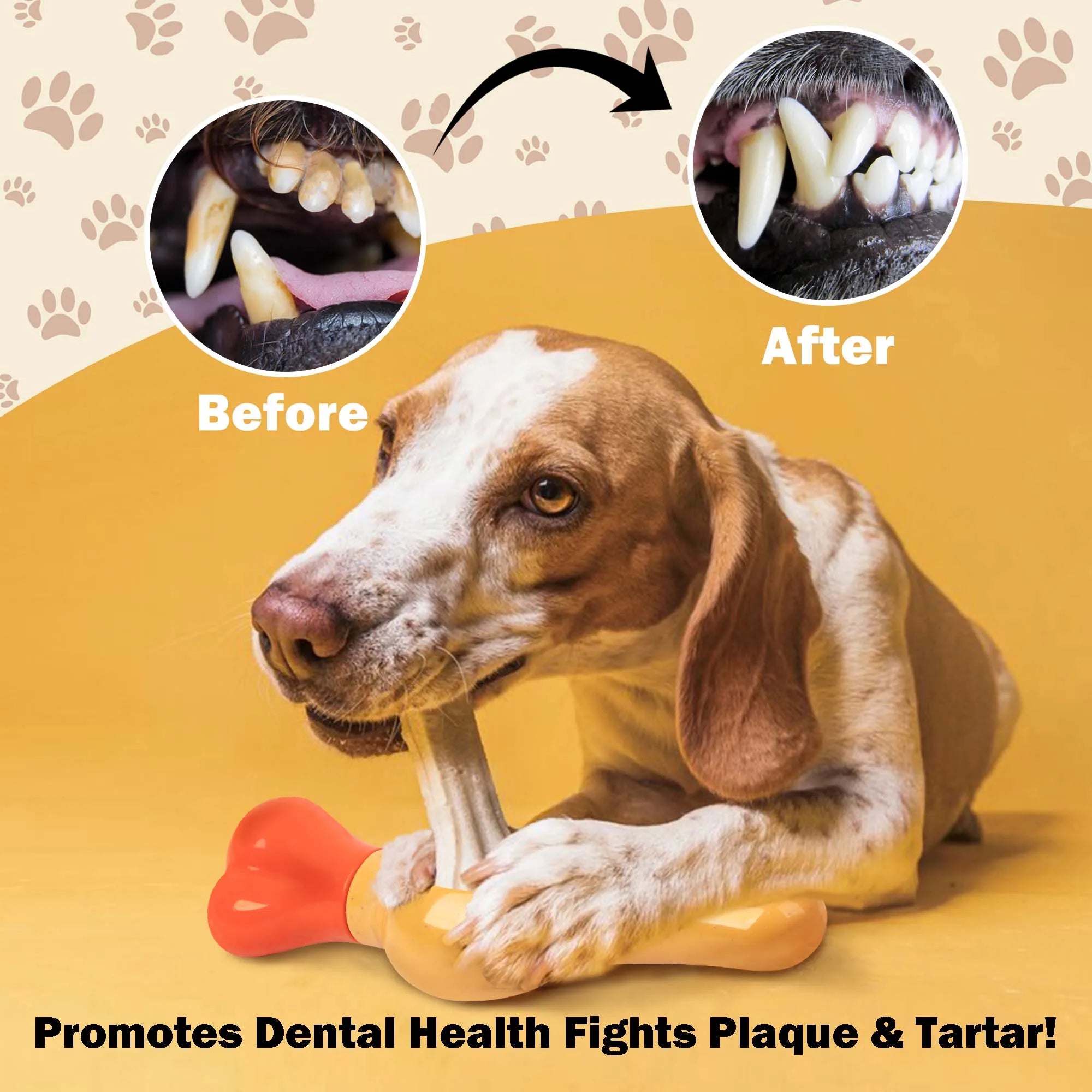 🐶 All For Paws Dog Bully Stick Holder – Chew Safety Device, Anti-Choking & BPA-Free 🦴🛡️