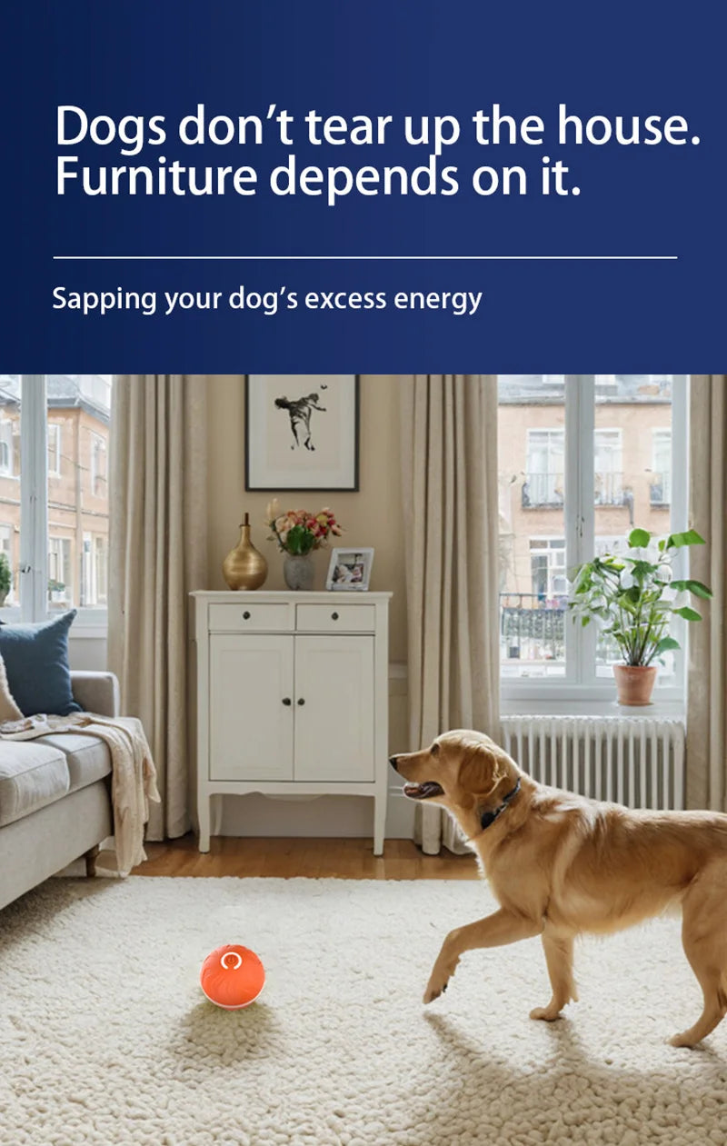 Xiaomi Smart Gravity Bounce Ball – Interactive Dog Toy Ball 🎾🐶