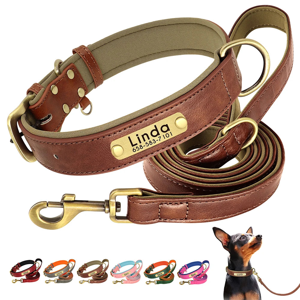Custom Leather Dog Collar & Leash Set – Soft Padded with Engraved Nameplate