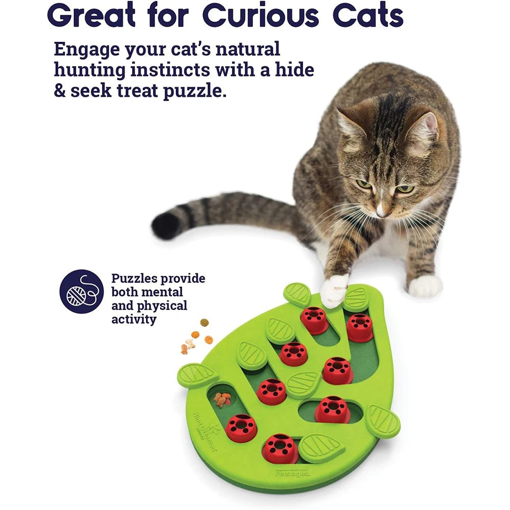 Rainy Day Puzzle & Play – Interactive Cat Treat Puzzle Toy with Scratch Board
