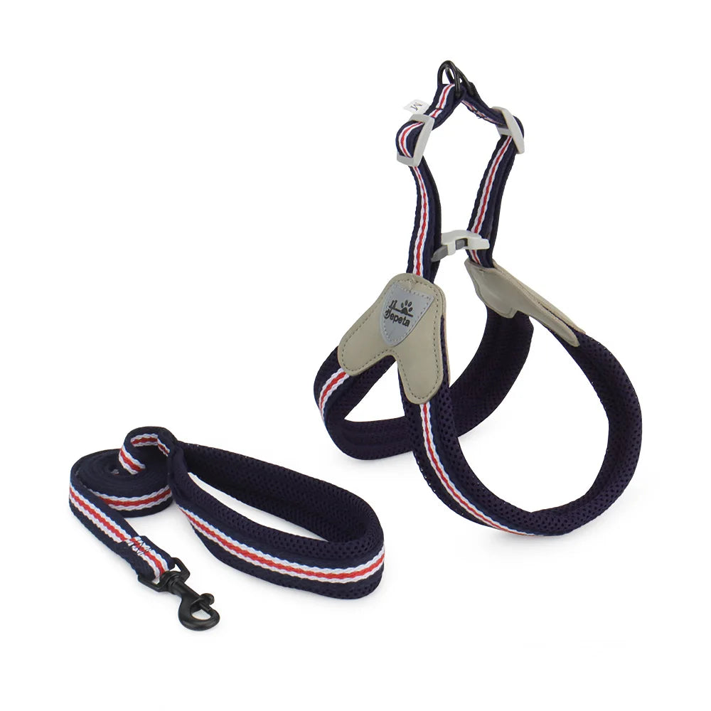 🐾 Vest Style Dog Harness & Leash Set – Adjustable Chest Strap for Small & Medium Dogs