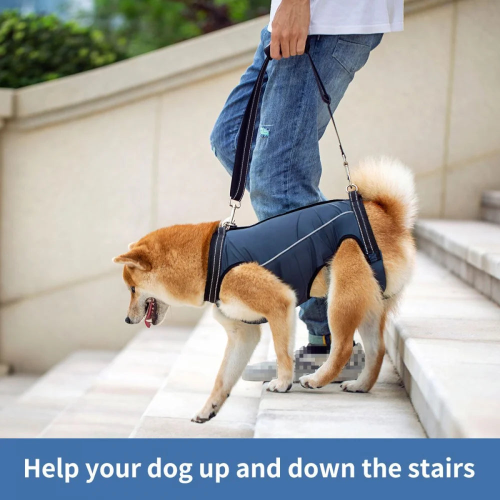 Dog Lift Harness Support Sling – Padded Aid for Disabled & Injured Dogs