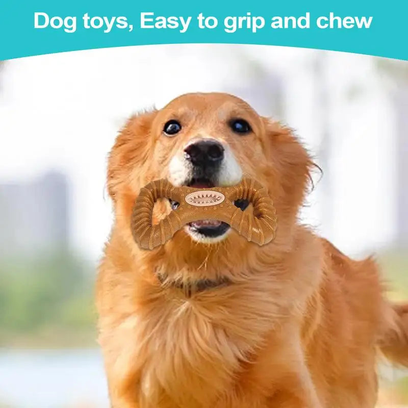 Dog Treat Dispensing Chew Toy – Bite-Resistant Food Dispenser 🐾🍖