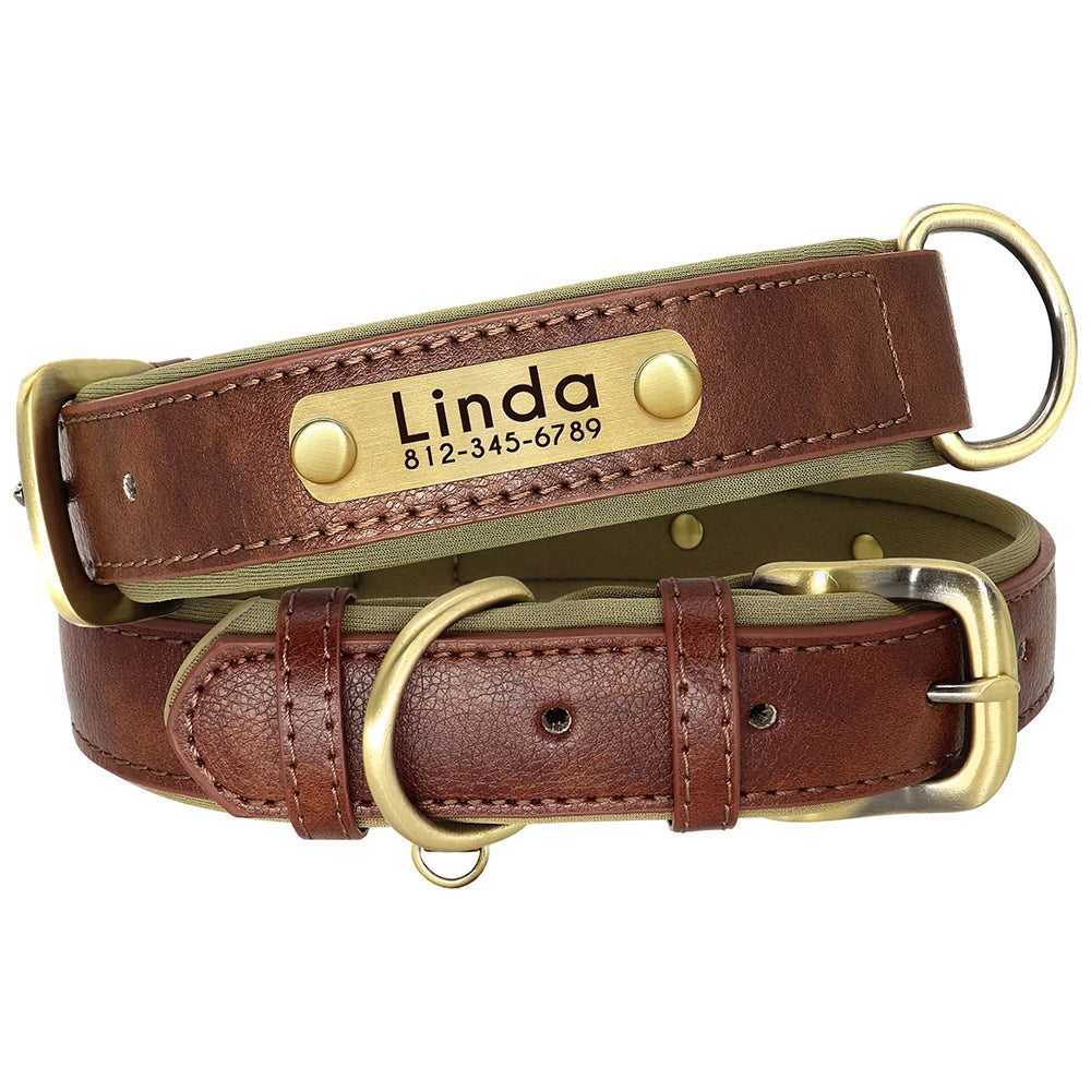 Custom Leather Dog Collar & Leash Set – Soft Padded with Engraved Nameplate