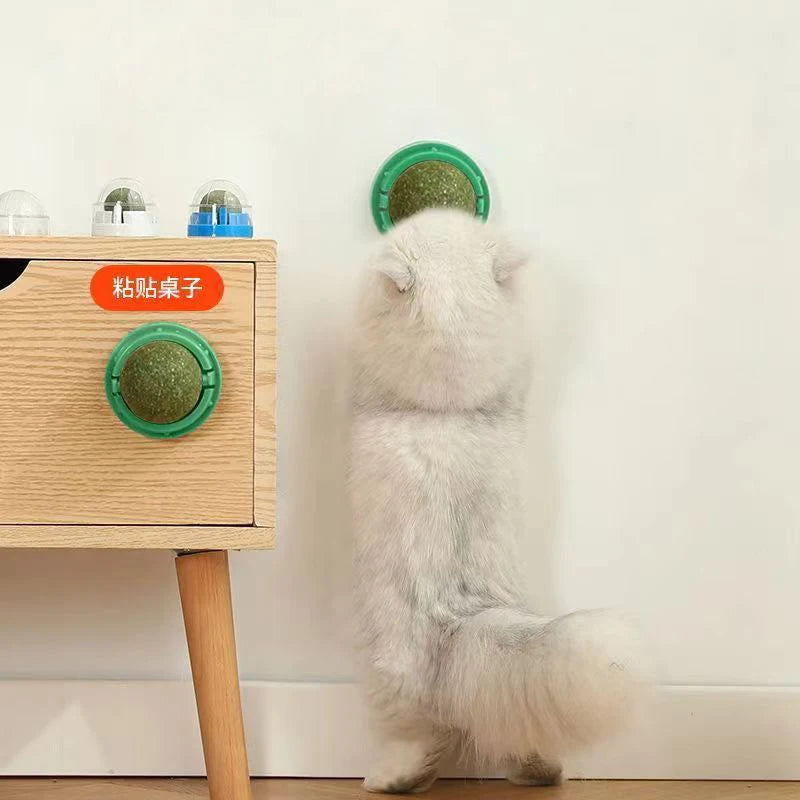 Catnip Wall Stick-On Ball Toy – Natural Cat Grass Treat for Digestion & Fun