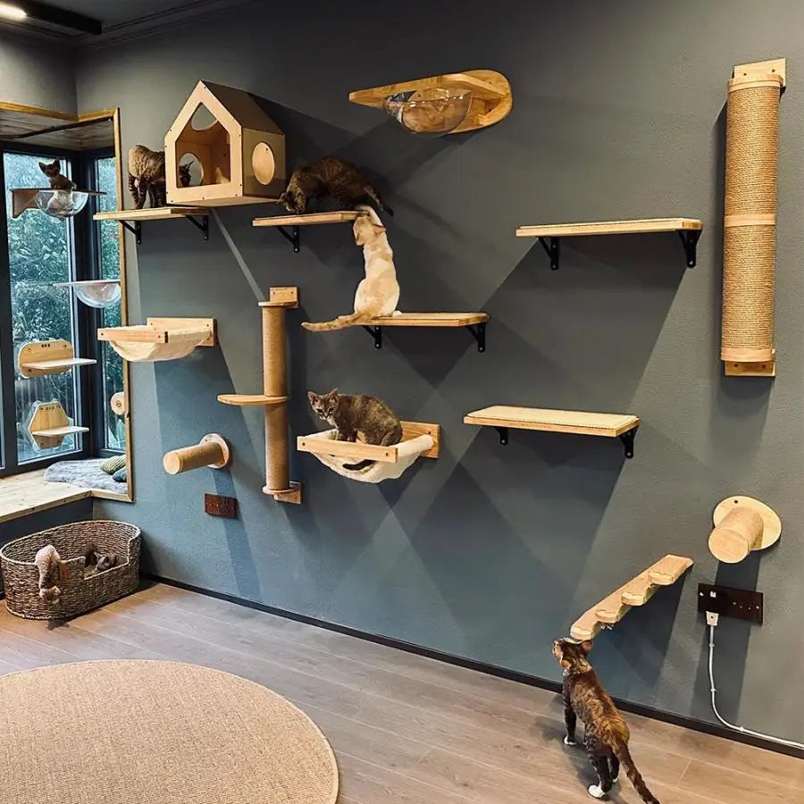 Cat Tree Wall Mounted Climbing Shelves – Wooden Hammock, Ladder & Bridge Indoor Cat Playground 🐾