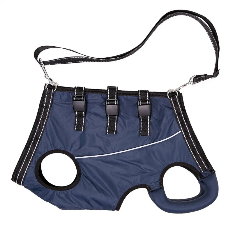 Dog Lift Harness Support Sling – Padded Aid for Disabled & Injured Dogs