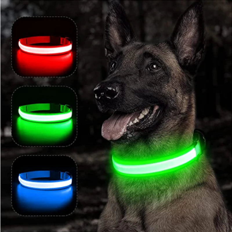 USB Rechargeable LED Glowing Pet Collar – Adjustable Night Light Safety Collar for Dogs & Cats