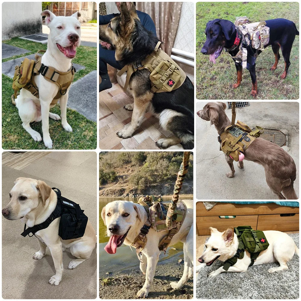 🎖️ 3Pcs Dog Tactical Molle Pouch Set – Military Training Bags for Harness & Belt Attachment