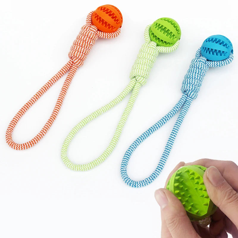 Pet Tooth Cleaning Rubber Ball Toy with Rope – Leaking Treat Chew Toy for Small & Large Dogs