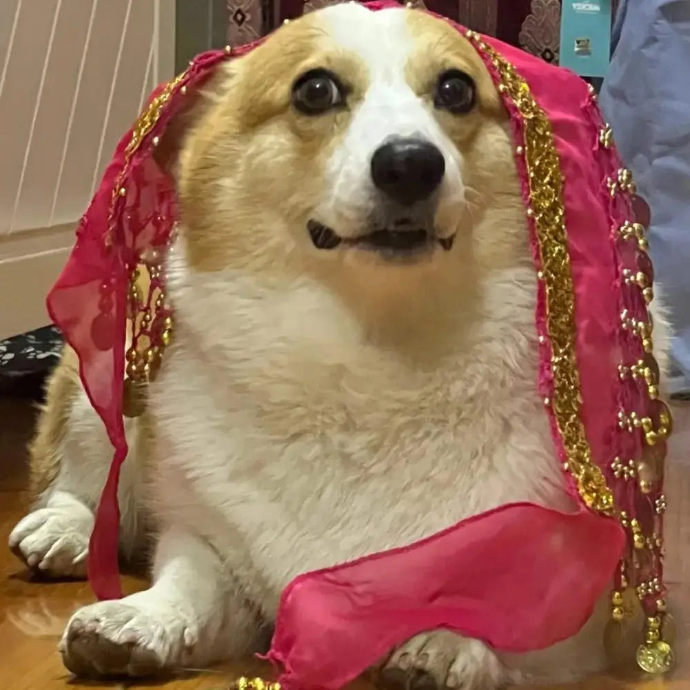 Dog Booty Dance Skirt – Fun Pet Costume Wrap for Parties & Cosplay