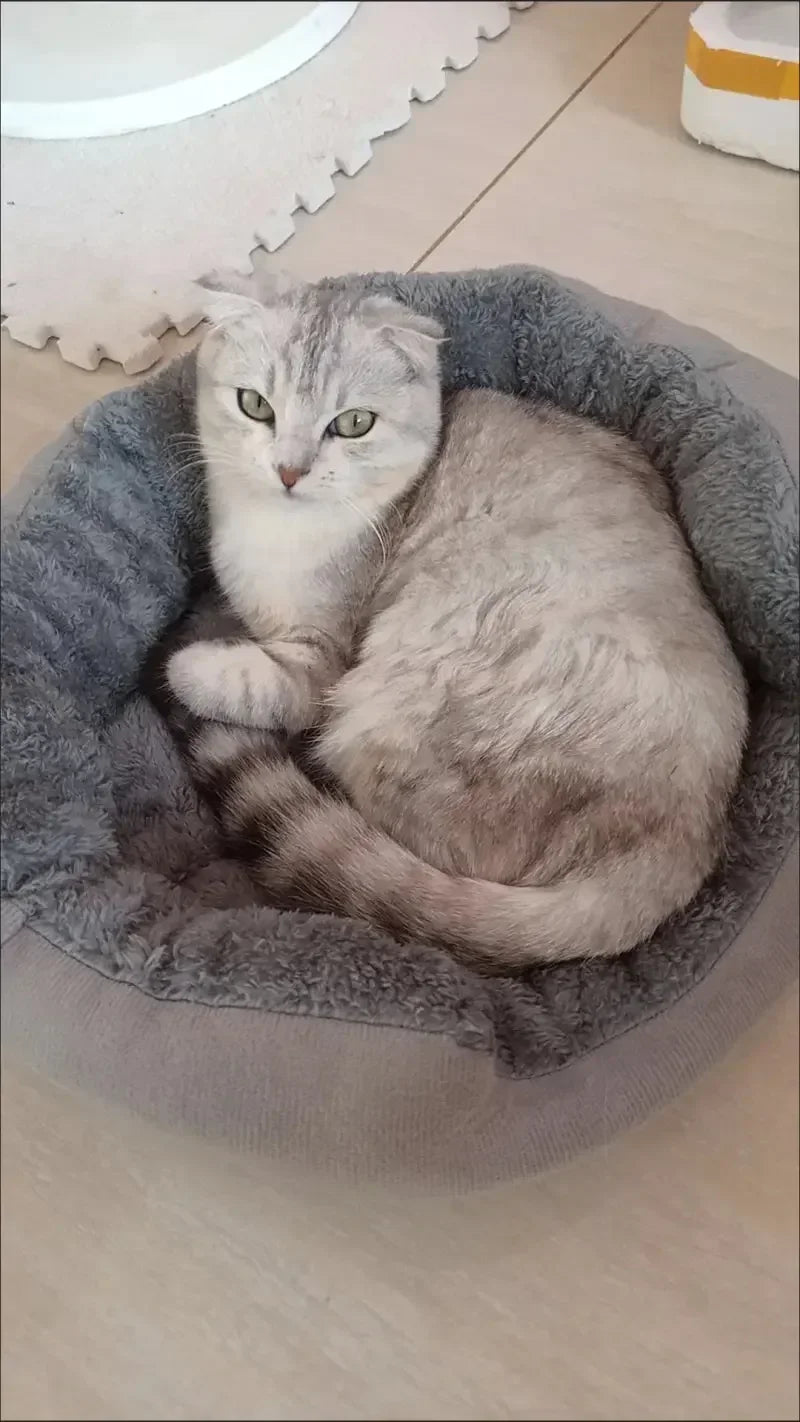 Very Soft Warm Dog Bed Sofa – Cozy Pet Basket for Medium & Large Dogs & Cats