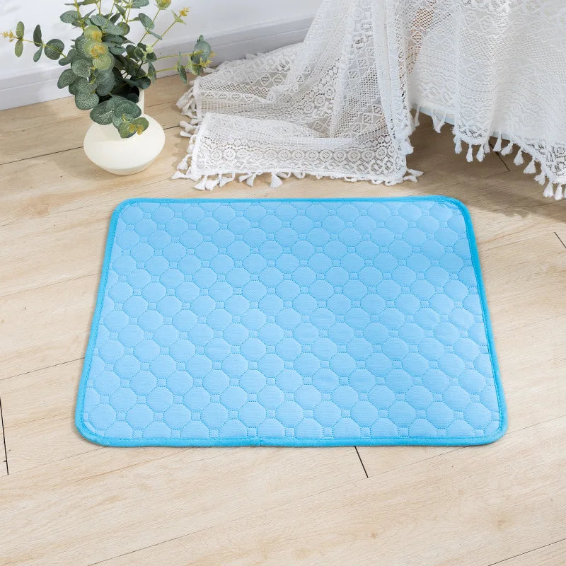 Reusable Dog Pee Pad Blanket – Washable Absorbent Puppy Training Pad & Pet Bed Urine Mat for Car Seat Protection