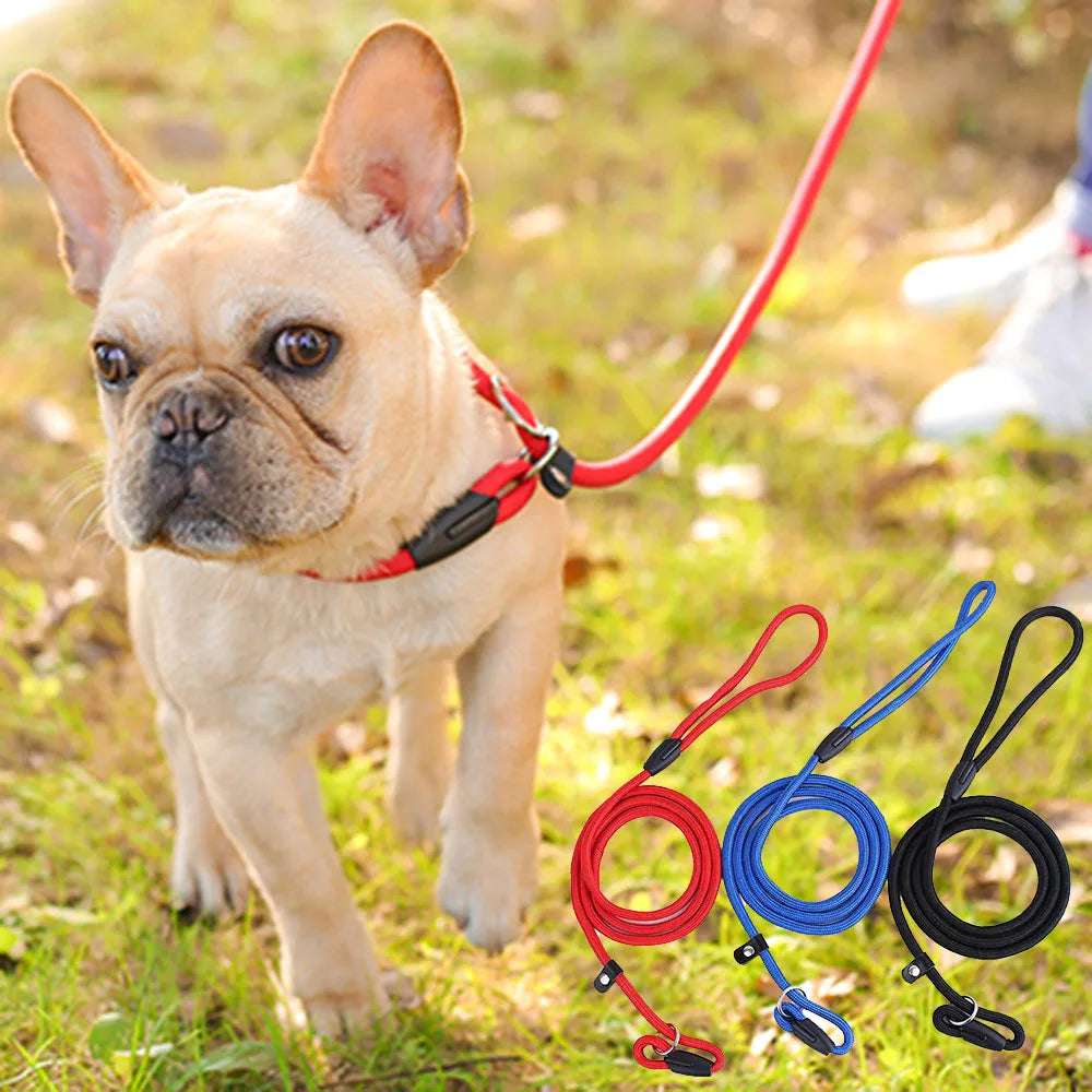 Slip Lead Dog Leash for Small Dogs – Anti-Choking P-Shaped Rope Leash for Puppy Training & Walking