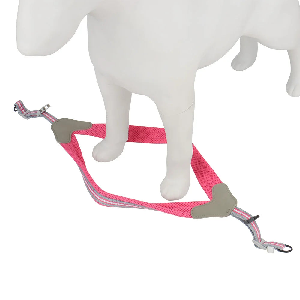 🐾 Vest Style Dog Harness & Leash Set – Adjustable Chest Strap for Small & Medium Dogs