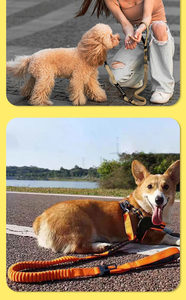 Heavy Duty Bungee Tactical Dog Leash – 2 Padded Handles, Shock-Absorbing Lead