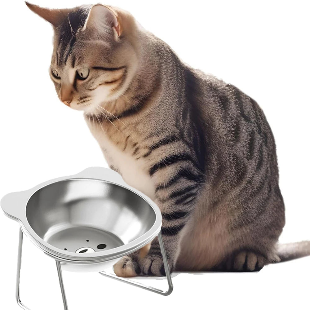 Stainless Steel Cat Food Bowl with Metal Stand